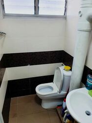 Blk 213 Petir Road (Bukit Panjang), HDB 4 Rooms #412696751